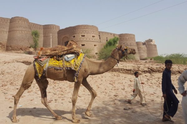 Cholistan Desert Camel Safari (1)
