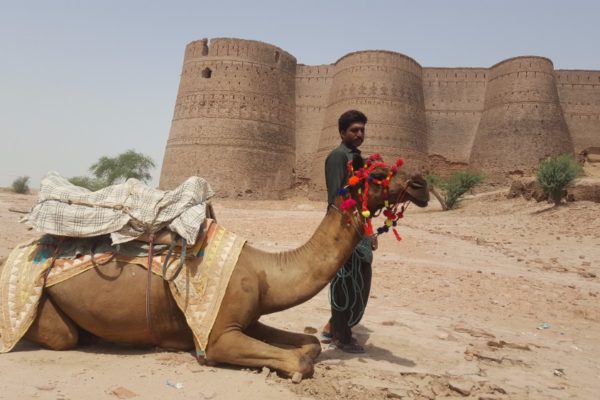 Cholistan Desert Camel Safari (5)