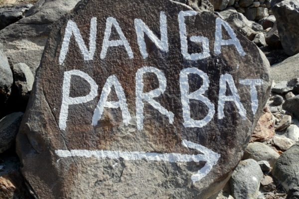 Nanga Parbat & Mazeno Pass Trek (5)