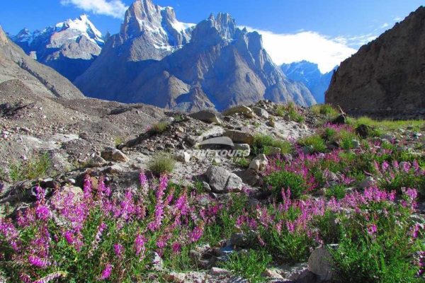 Wakhan Corridor and Chillinki Pass Trek (2)